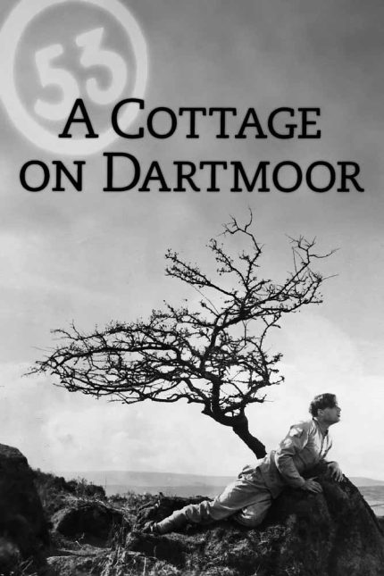 A Cottage on Dartmoor Movie Poster Wall Art
