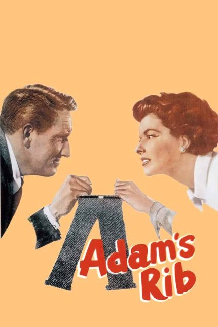 Adam's Rib 1949 Movie Poster Wall Art