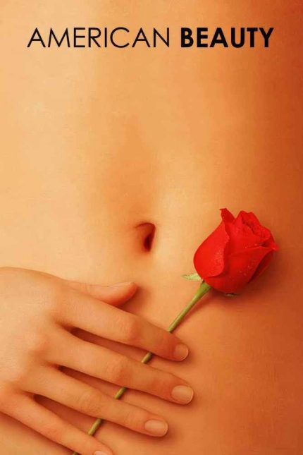 American Beauty 1999 Movie Poster Wall Art