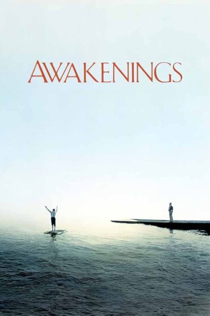 Awakenings 1990 Movie Poster Wall Art