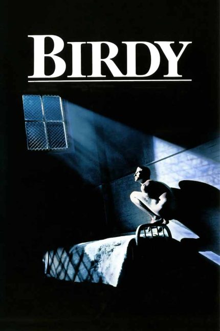 Birdy 1984 Movie Poster Wall Art