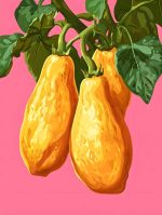 Eclectic Pop Art Prints Digital Download