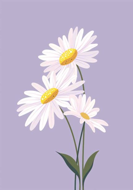 Floral Botanical Flower Print Wall Art Poster