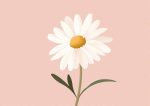 Floral Botanical Flower Print Wall Art Poster