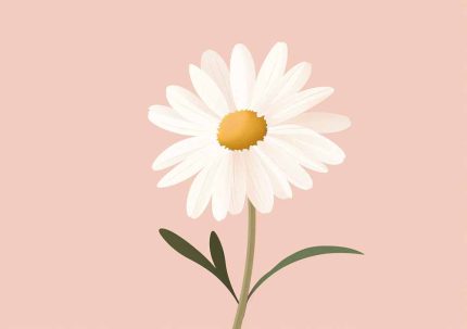 Floral Botanical Flower Print Wall Art Poster