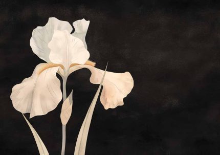 Floral Botanical Flower Print Wall Art Poster
