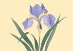 Floral Botanical Flower Print Wall Art Poster