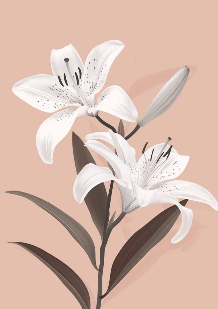 Floral Botanical Flower Print Wall Art Poster - Image 1
