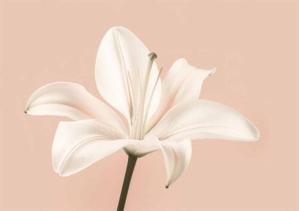 Floral Botanical Flower Print Wall Art Poster