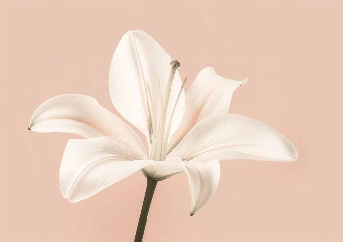 Floral Botanical Flower Print Wall Art Poster - Image 1