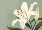 Floral Botanical Flower Print Wall Art Poster