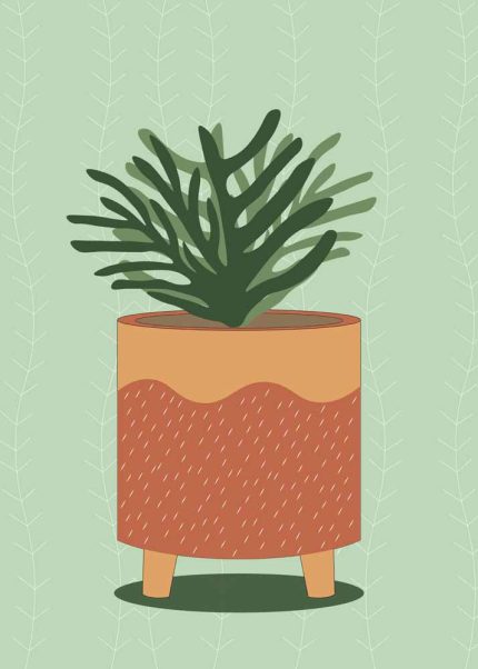 Potted Succulent Illustration - Minimalist Plant Art Print Floral Botanical Flower Print Wall Art Poster
