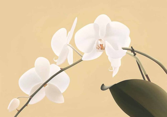 Floral Botanical Flower Print Wall Art Poster - Image 1