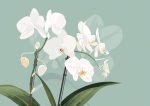 Floral Botanical Flower Print Wall Art Poster
