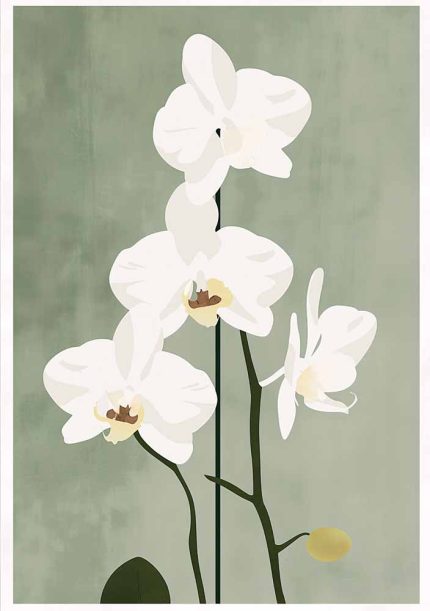 Floral Botanical Flower Print Wall Art Poster