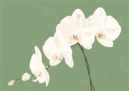 Floral Botanical Flower Print Wall Art Poster