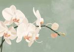 Floral Botanical Flower Print Wall Art Poster