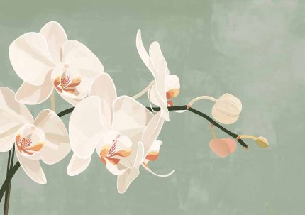 Floral Botanical Flower Print Wall Art Poster