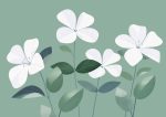 Floral Botanical Flower Print Wall Art Poster