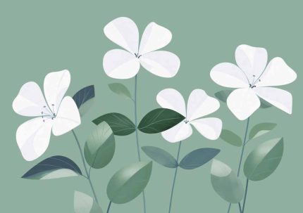 Floral Botanical Flower Print Wall Art Poster