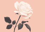 Floral Botanical Flower Print Wall Art Poster