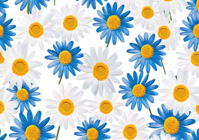 Floral Botanical Flower Print Wall Art Poster - Image 1