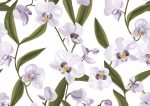 Floral Botanical Flower Print Wall Art Poster