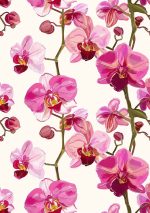 Floral Botanical Flower Print Wall Art Poster