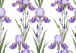 Floral Botanical Flower Print Wall Art Poster