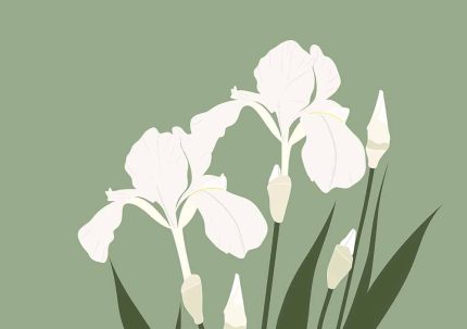 Green Floral Botanical Flower Print Wall Art Poster