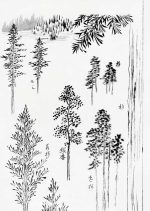 Hokusai Tree Studies: Ink Wash Drawings of Pines and Foliage Printed Poster