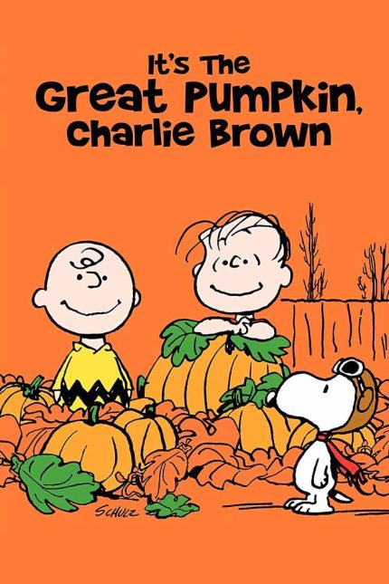 It_s the Great Pumpkin Charlie Brown 1966 Movie Poster Wall Art