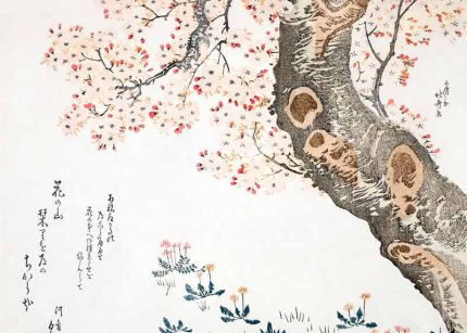 Cherry Blossom Branch Detail | Ukiyo-e Art Traditional Japanese Wall Art