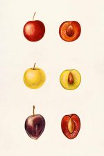  Kitchen Trendy Print Wall Art Poster