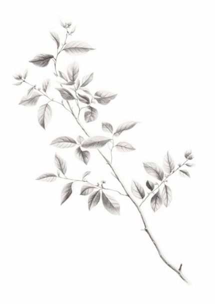 Neutral Theme Vintage Posters Wall Art Poster