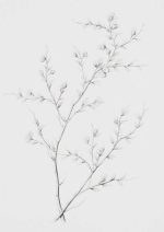 Neutral Theme Vintage Posters Wall Art Poster
