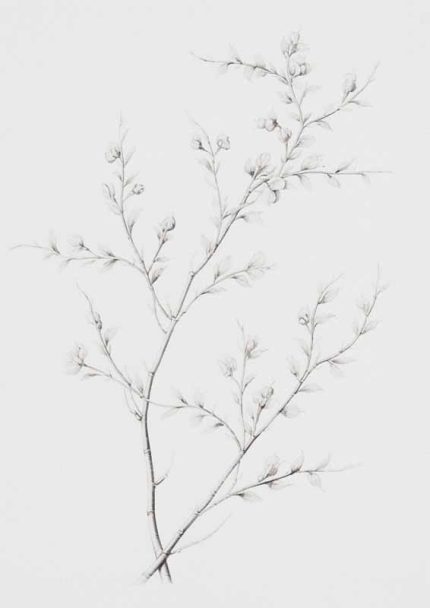 Neutral Theme Vintage Posters Wall Art Poster