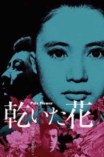 Pale Flower 1964 Movie Poster Wall Art