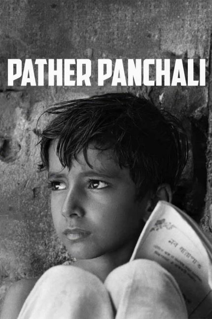 Pather Panchali 1955 Movie Poster Wall Art