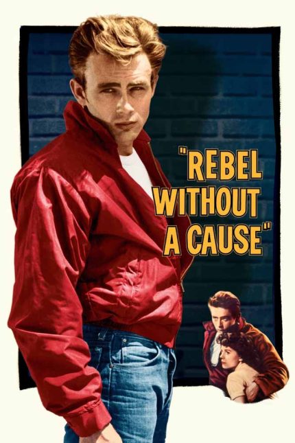Rebel Without a Cause 1955 Movie Poster Wall Art