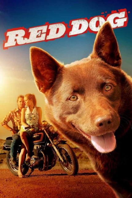 Red Dog 2011 Movie Poster Wall Art