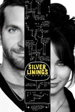 Silver Linings Playbook 2012 Movie Poster Wall Art