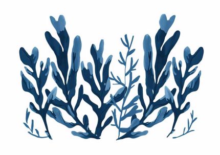 Simple Drawing   Cadet Blue Wall Art Metal Aluminum Print