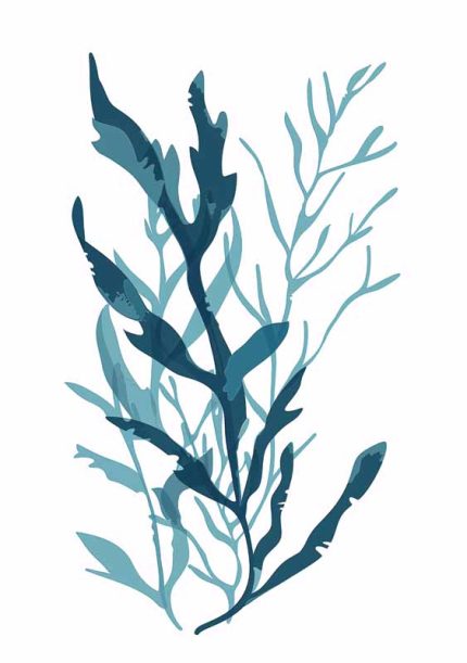 Simple Drawing   Cadet Blue Wall Art Metal Aluminum Print
