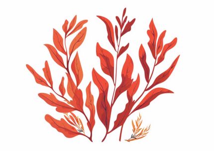 Simple Drawing Indian Red AI Print Wall Art Poster