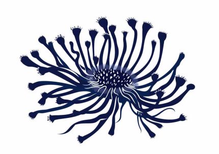 Simple Drawing   navy blue Wall Art Metal Aluminum Print
