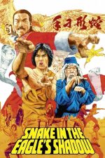 Snake in the Eagle_s Shadow 1978 Movie Poster Wall Art