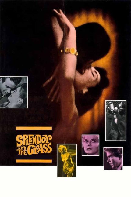 Splendor in the Grass 1961 Movie Poster Wall Art
