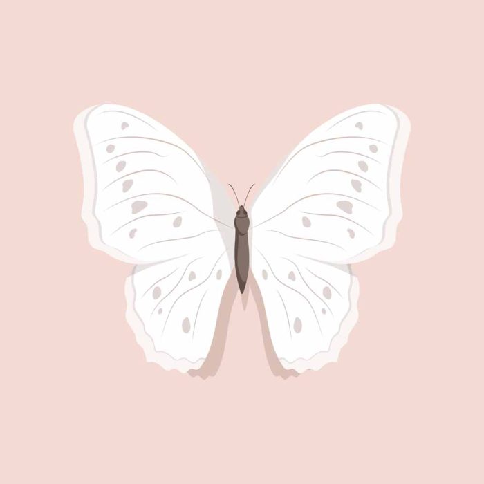 Square Wall Art Premium Print Wall Art Poster - Image 1