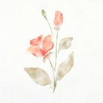 Square Wall Art Premium Print Wall Art Poster